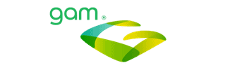 Linnoit logo de GAM, tecnología e innovación en soluciones digitales.